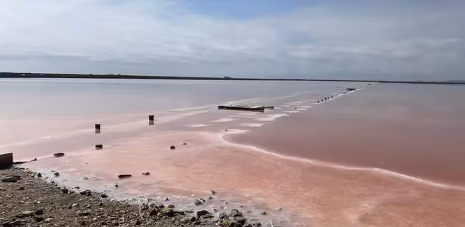 LE SALIN DE L'ÎLE SAINT-MARTIN