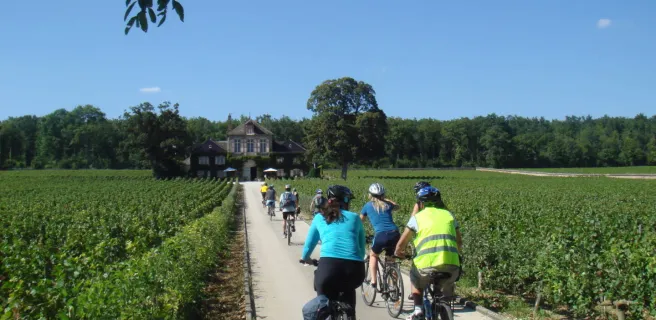 Location vélo : Bourgogne Evasion Beaune by Active Tours