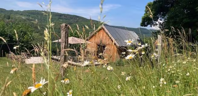Chalet Au Bois Du Haut Folin