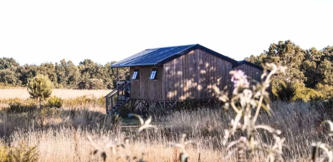 Dihan