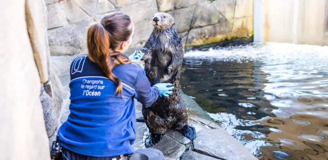 ©Jean-François Le Bescond Oeil de Paco