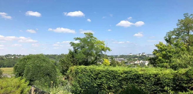 Les Agapanthes - Meublé Fougères