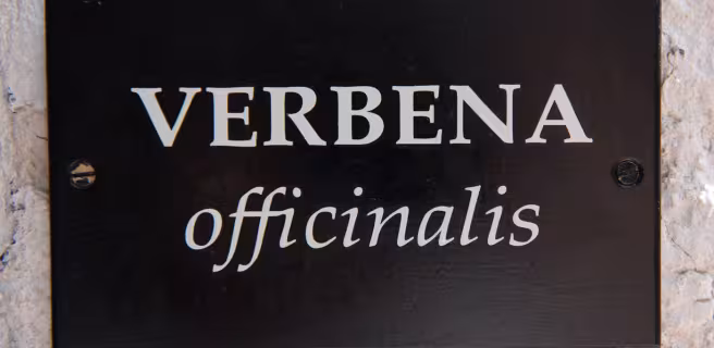 Gîte Verbena - La Barboire Campagne