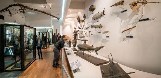 Muséum-Aquarium de Nancy