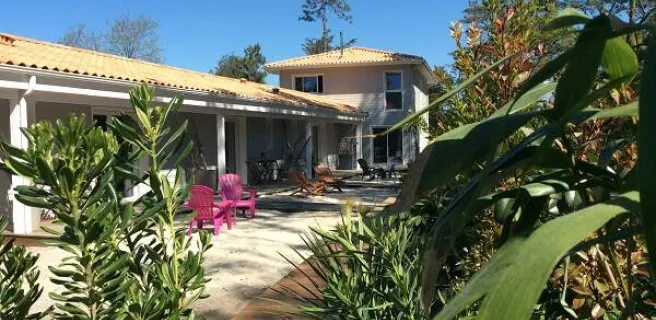 Au Jardin des Libellules