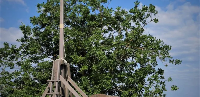 Château de Monts sur Guesnes