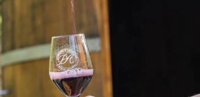 Domaine d'Arpaillan