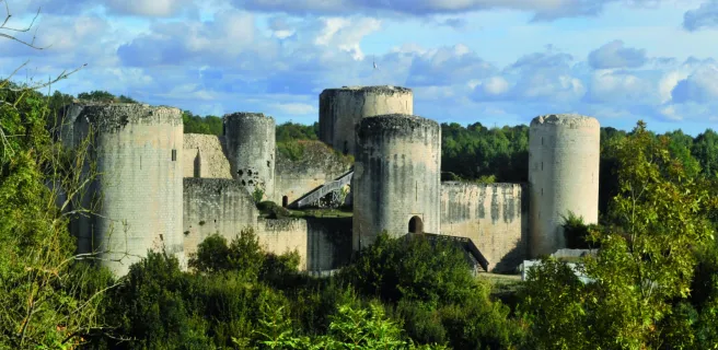 Château du Coudray-Salbart