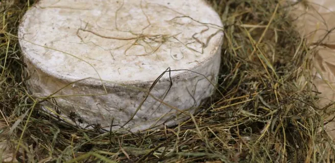 Fromagerie Jean-Marie Beaudoin