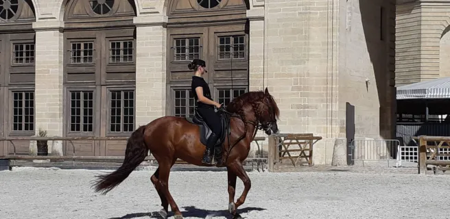 Musée vivant du Cheval - Grandes Écuries du Château de Chantilly