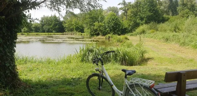 Location de vélo, kayak et paddle - Maison Eclusière de Long