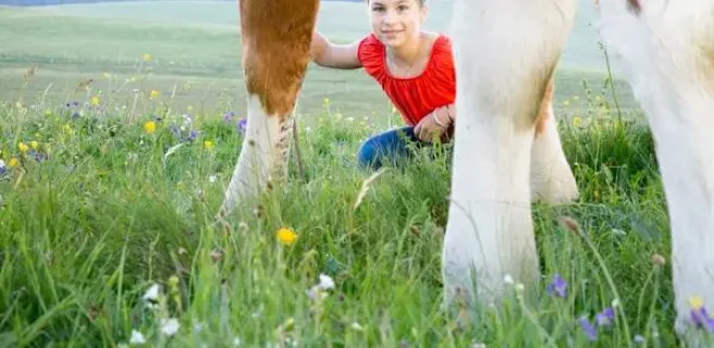 Coopérative Fromagère Jeune Montagne