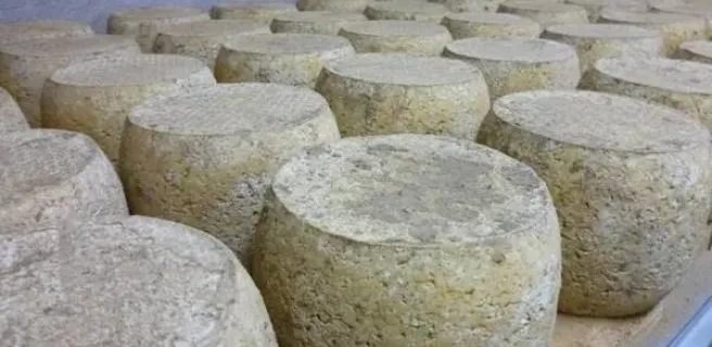 Visite de la fromagerie de Thérondels