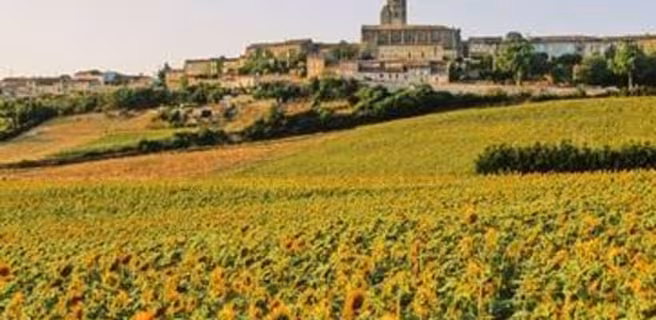 BUREAU D'INFORMATION TOURISTIQUE DE SAINT FELIX LAURAGAIS