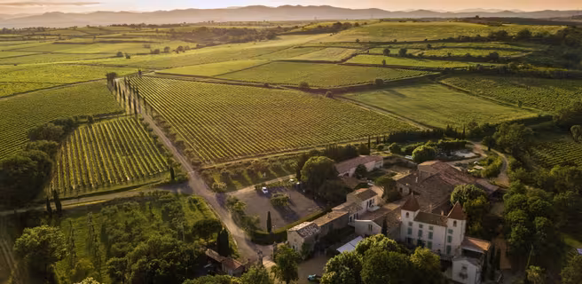 DOMAINE MOULIN DE LENE