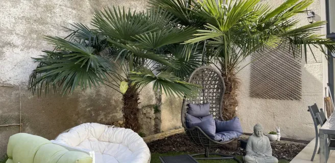 LA COQUILLADE - CHAMBRE LA ZEN