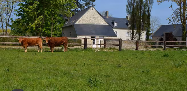 Gîtes de France G772 : L'Amandière