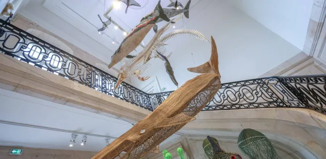 Muséum d'Histoire Naturelle