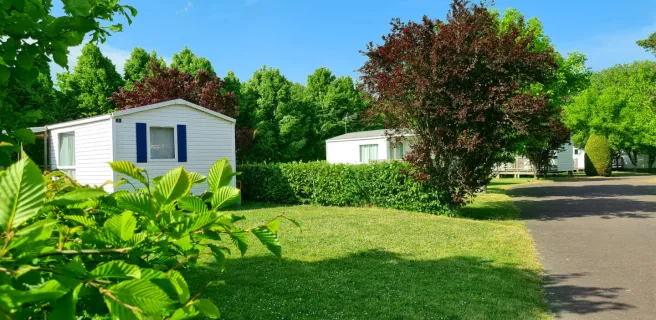 vivien terese hospitality