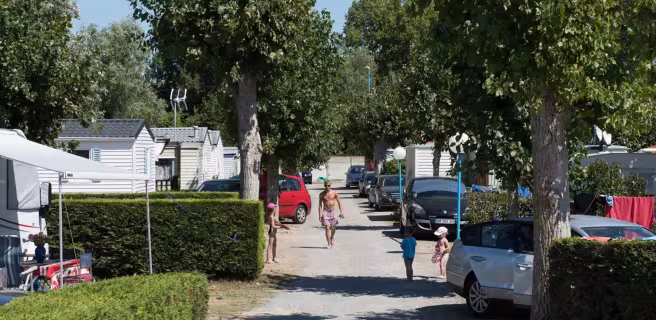 Camping Le Petit Bois