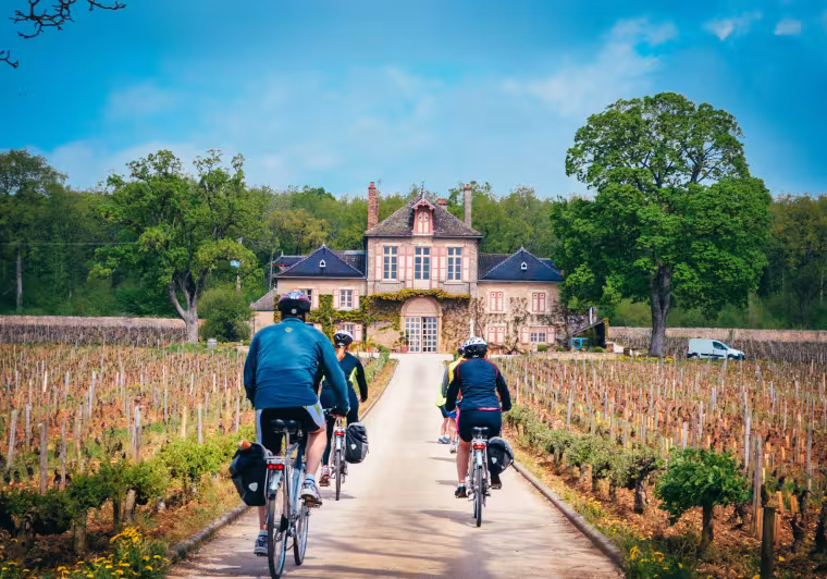 Châteaux et vignobles