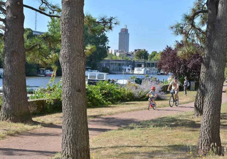 L'Erdre à Nantes
