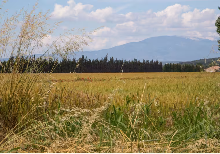 Paysage sur la Via Venaissia