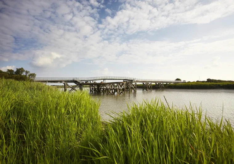 Pont en bois dans le Marais Poitevin à vélo