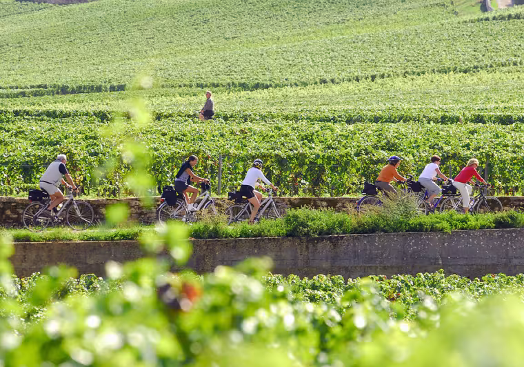 Voie des vignes à vélo en Bourgogne 