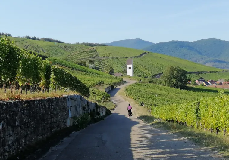 Vignobles d'Alsace