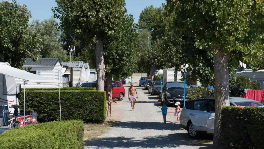 Camping Le Petit Bois photo 3