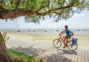 Bassin d'Arcachon à vélo