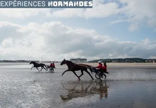 Baptême de « Sulky » sur la plage de Deauville