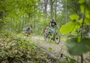 La Sologne à Vélo, au cœur de la forêt à travers des villages solognots
