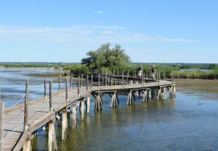 Centre de Scamandre en Camargue