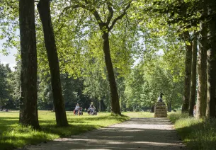 Balade à vélo sous les arbres dans le domaine de Rambouillet
