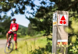 Beschilderung der Mountainbike-Strecken