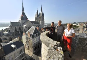 Panorama sur Blois et l'église Saint-Nicolas