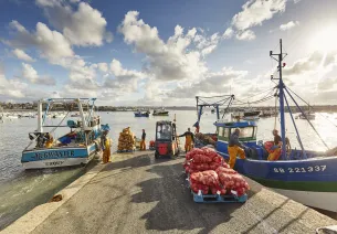 Port de pêche de Paimpol