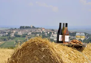 Gastronomie und Weingüter