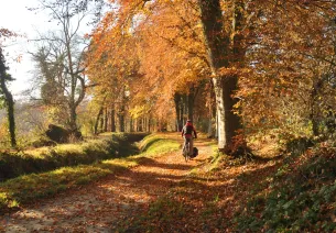 Rigole d'Hilvern à vélo