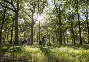 A vélo dans la Vallée de Chevreuse