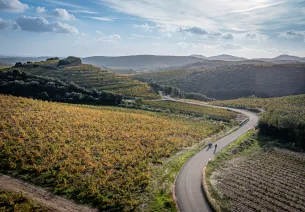 La Véloccitanie et les vignes héraultaises