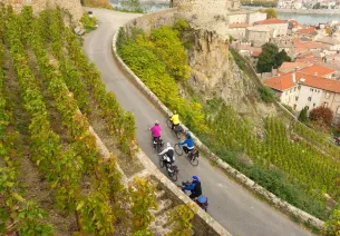 Wein & Radfahren entlang der Rhône