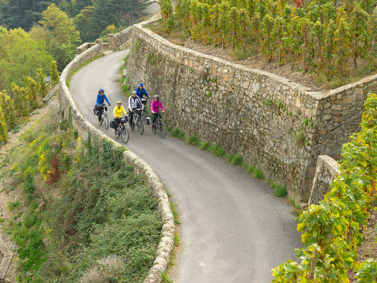 Les côtes du Rhône, découverte du vignoble à vélo