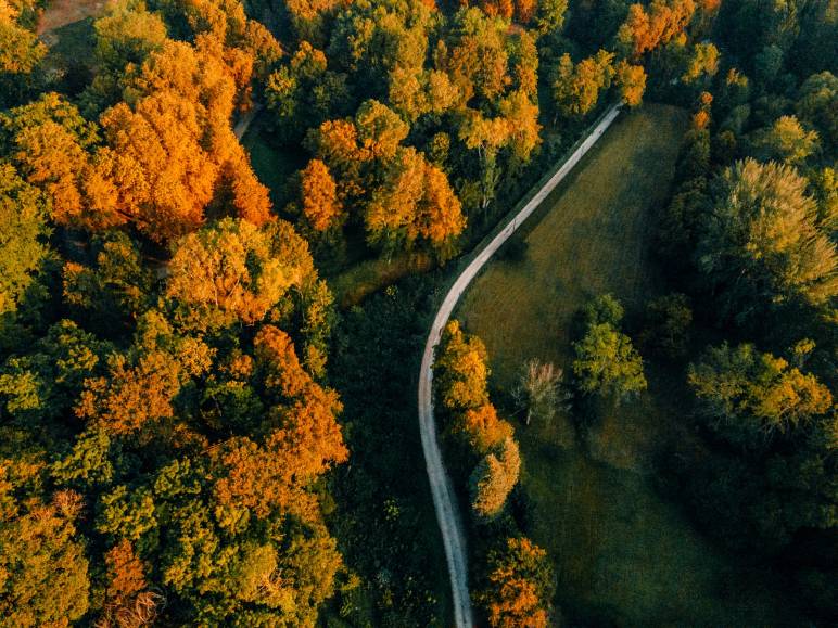 À vélo en forêt de Compiègne