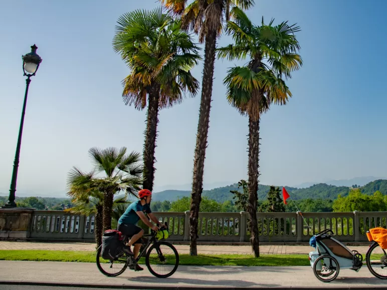 Palmiers et montagne