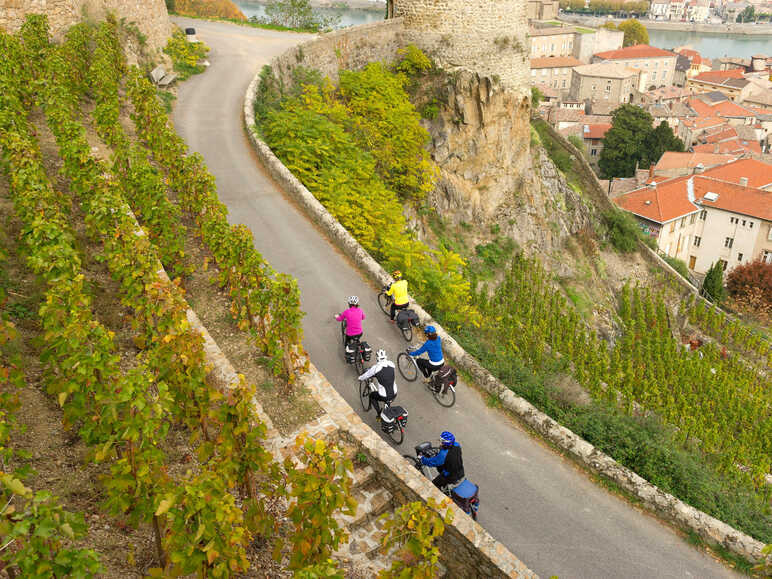 Wein & Radfahren entlang der Rhône